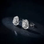 Moissanite 0.5carat Halo Round Diamond Earrings